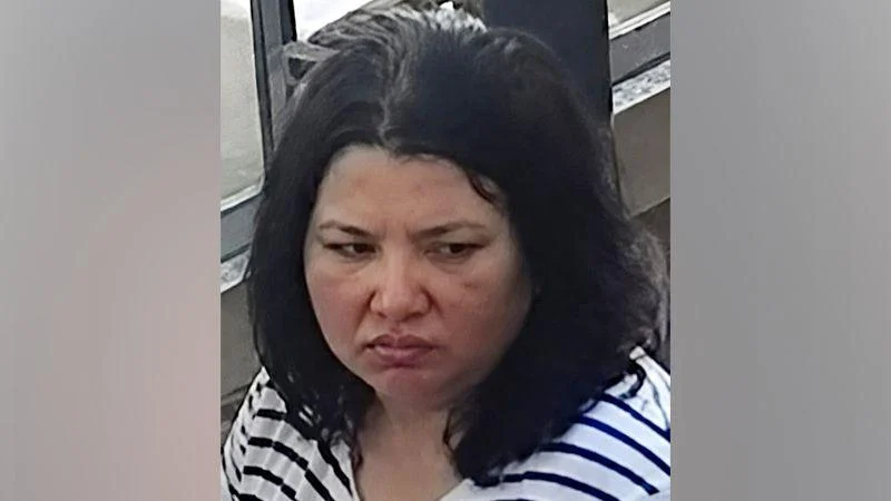 Mulher Ucraniana é Principal Suspeita de Ataque a Bomba em Mônaco: Interpol Emite Alerta Vermelho por Anastasiia Berezovska Após Atentado Contra Magnata