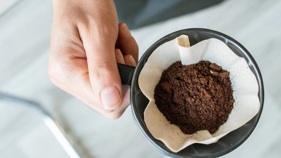 Despejar a água no café coado do jeito certo muda tudo! Baristas revelam o segredo da extração perfeita para um sabor inesquecível na sua xícara.