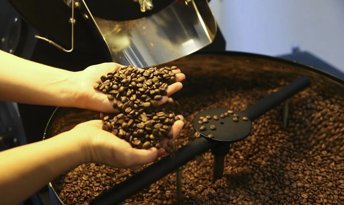 Sul de Minas Lidera Produção Nacional: Região Deve Colher 16 Milhões de Sacas de Café Arábica na Safra de 2026, Aponta Pesquisa Inédita
